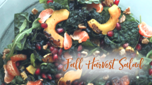 Fall Harvest Salad